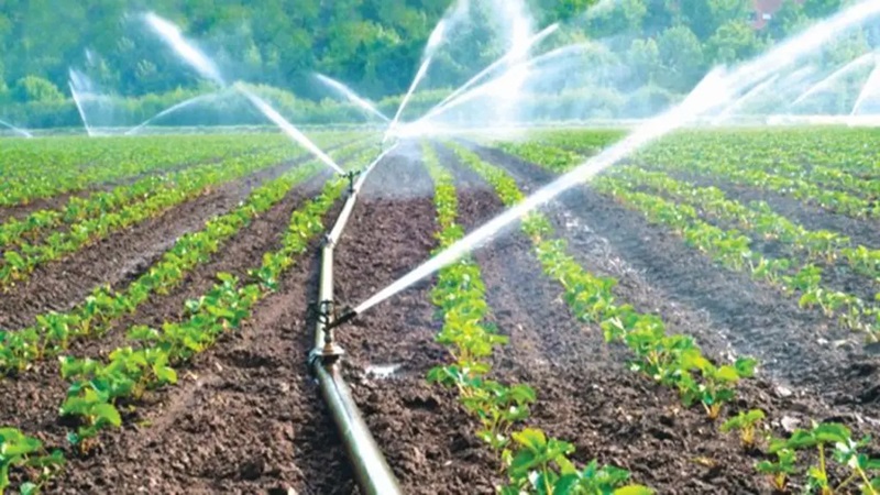 irrigation