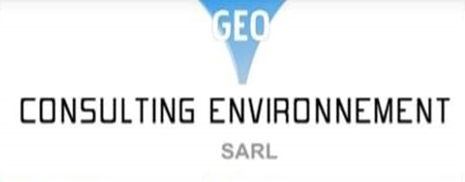 Consulting Environnement